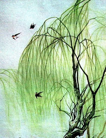 水粉柳树的绘画步骤图片