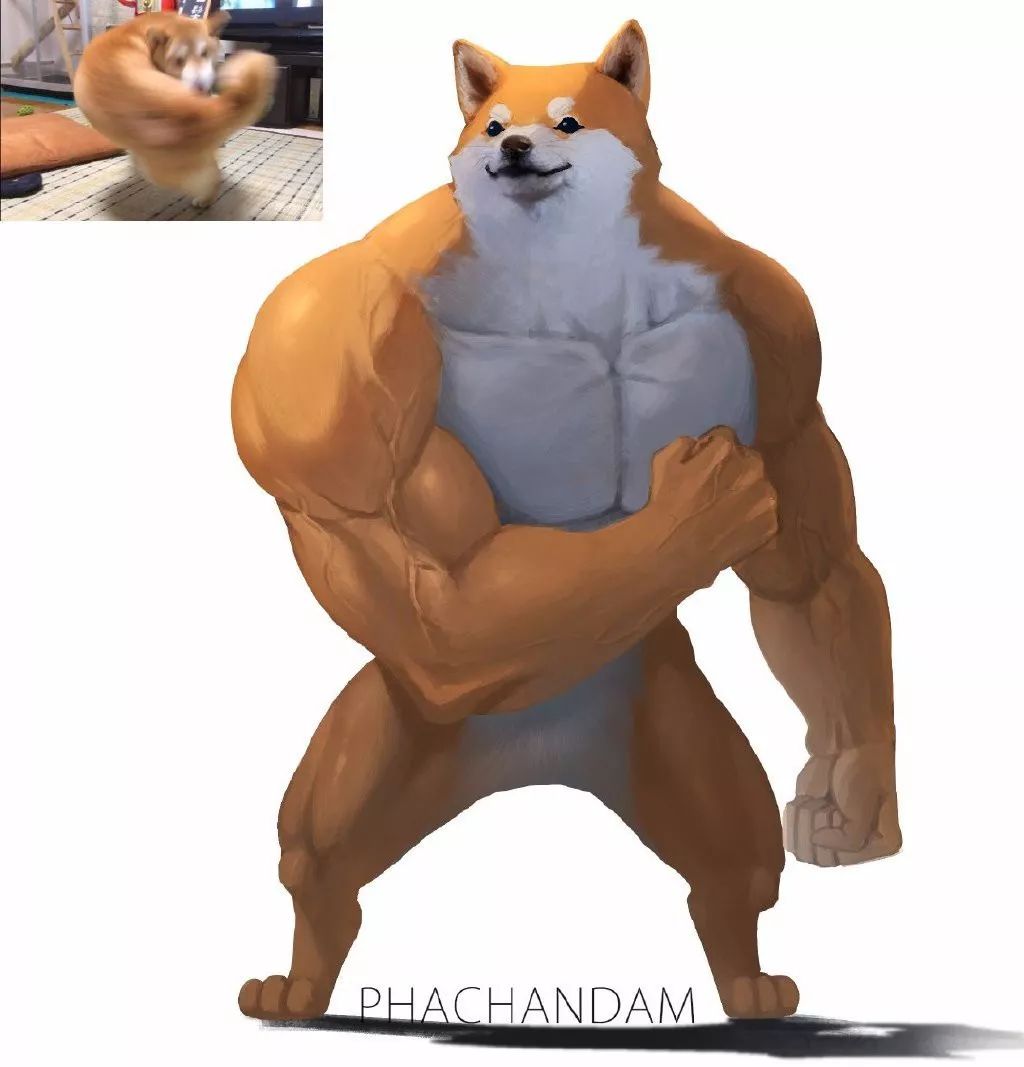 既然有了肌肉柴犬,当然也不能少了其他款式的肌肉猛男,接下来,就让