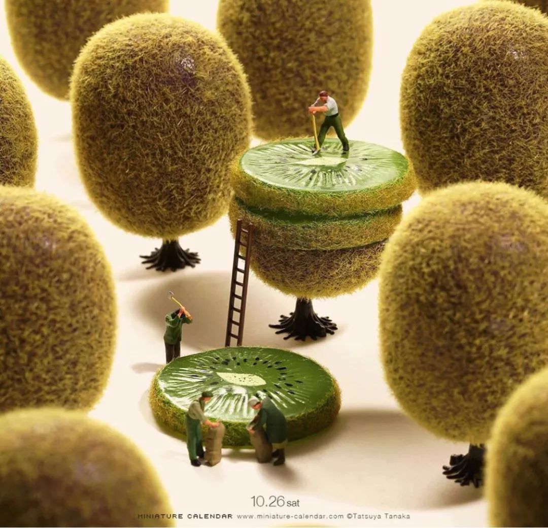 他的微摄影真是叫人看一张爱一张