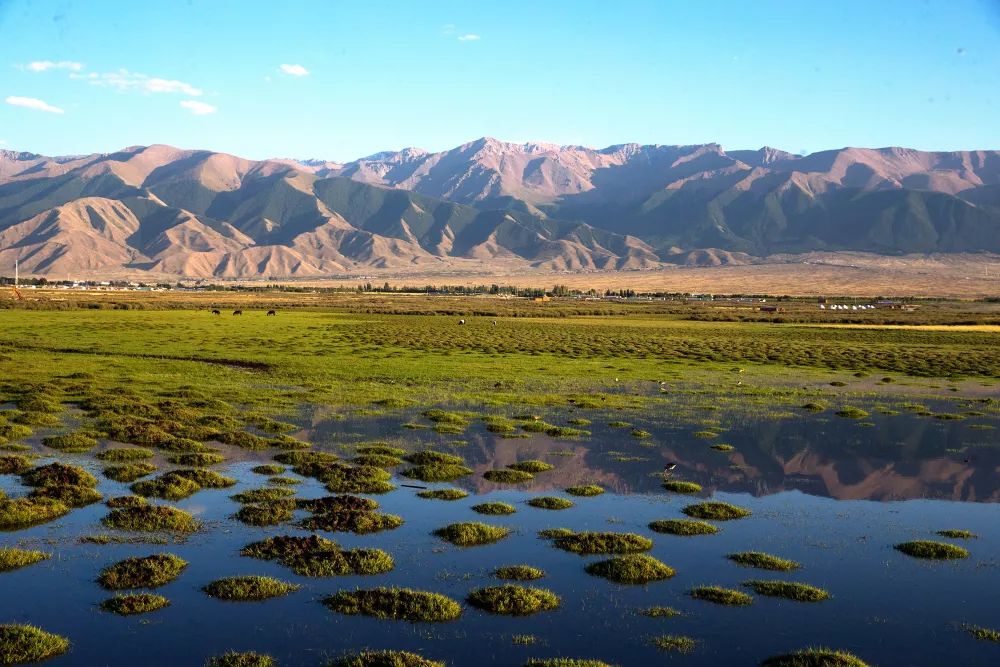 乌兰图雅唱的《莫尼山》不一样的好听!