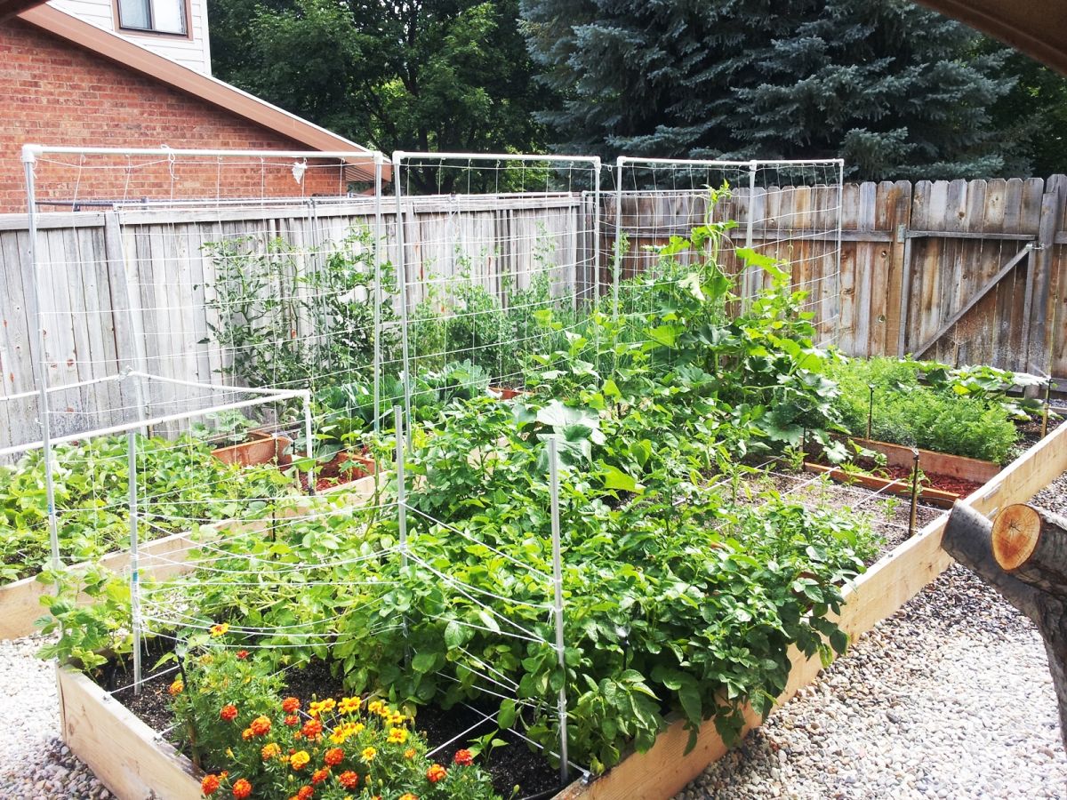 原创这些菜园花园diy设计理念给你意想不到的创意灵感