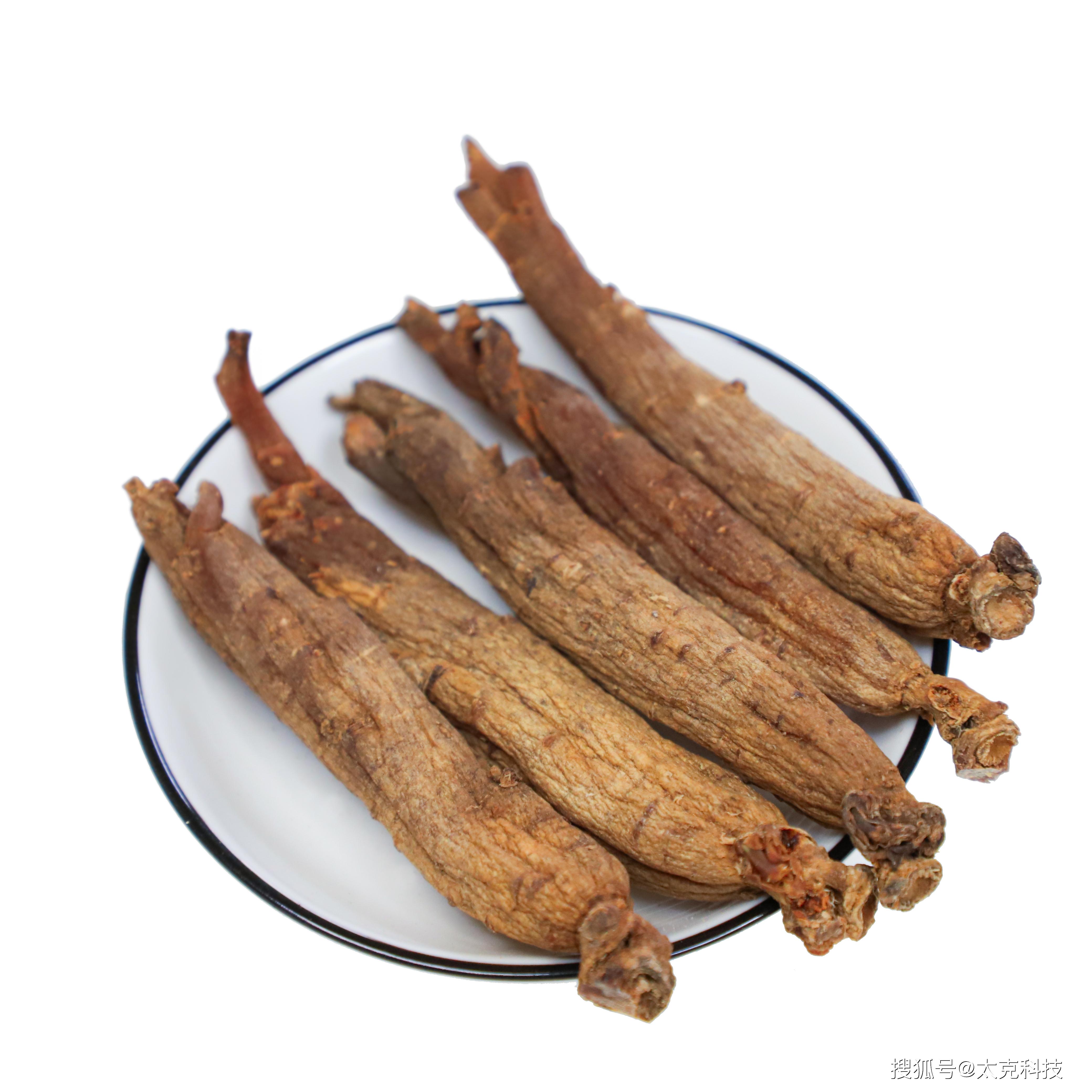 想要提高免疫力长白山人参来帮你