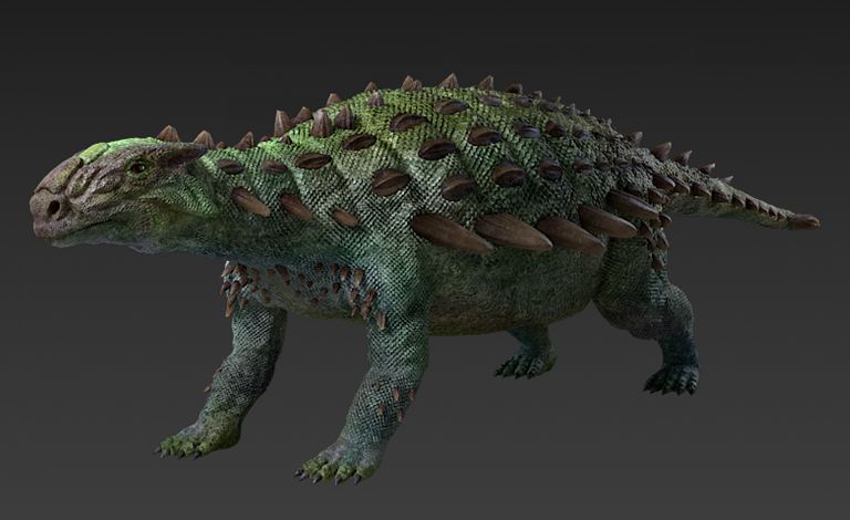 打烊大连自然博物馆邀您在线欣赏远古的生命古生物微视频之步氏克氏龙