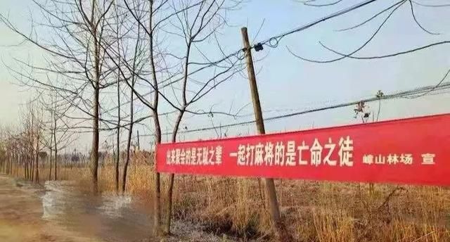 别样的抗疫宣传横幅最动人_标语