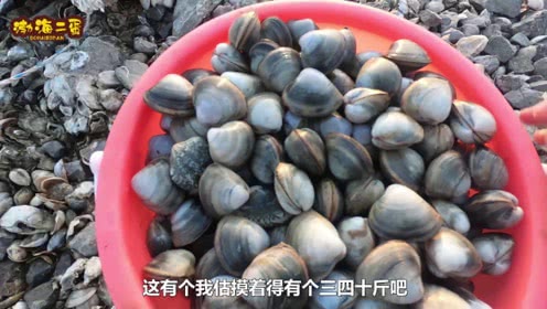 二蛋赶海赚了好几百退大潮海鲜卧在沙滩上二蛋捡的直不起腰
