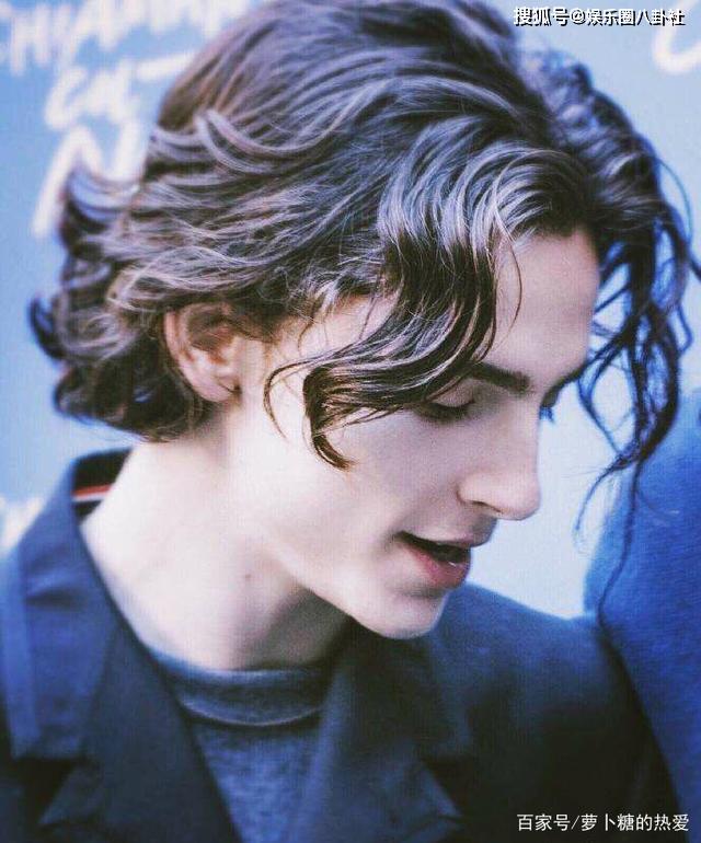 甜茶被罗比揉脸网友不知道该羡慕谁了