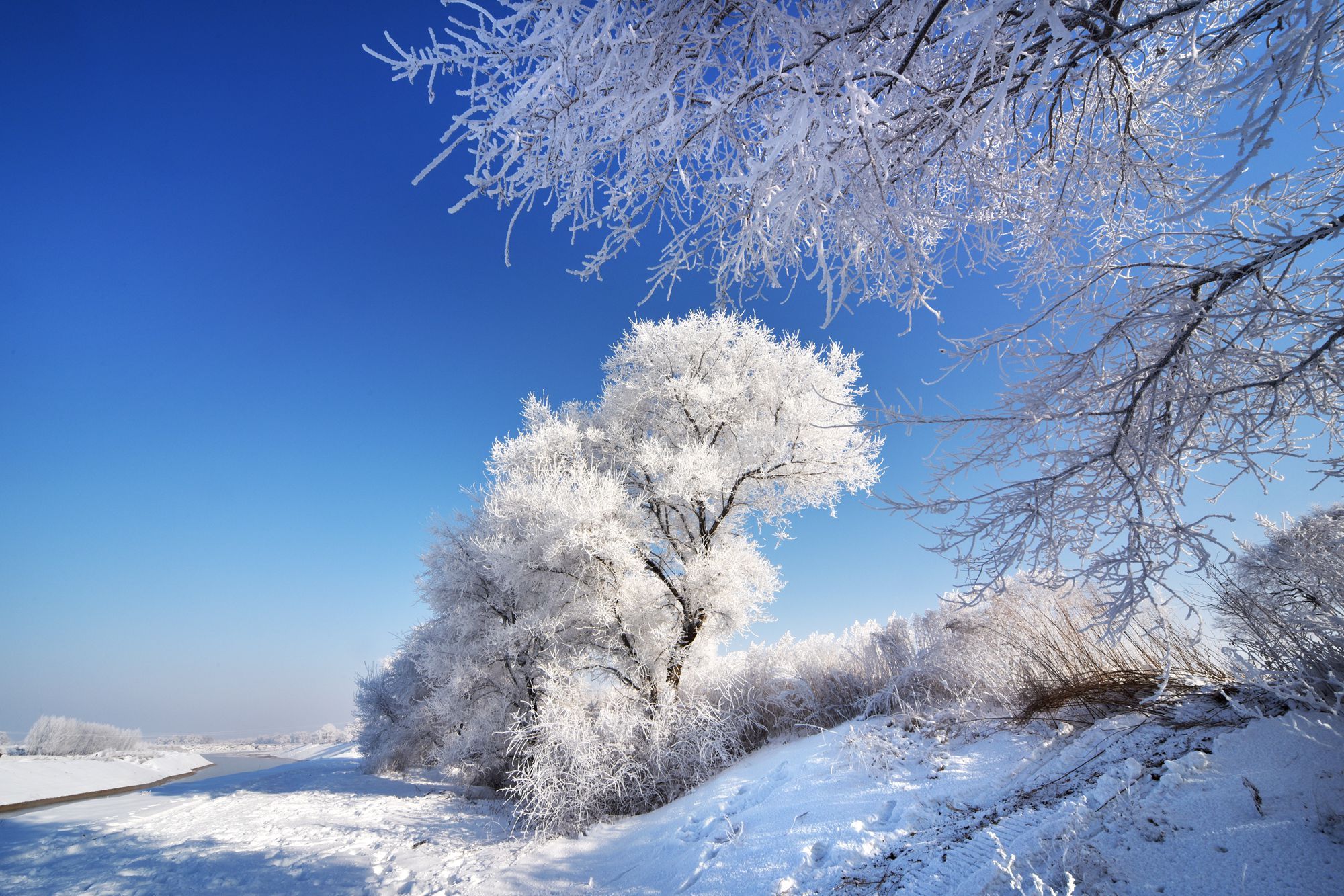 吉林雾凇岛冬天里的冰雪童话感受大东北凛冽的真纯