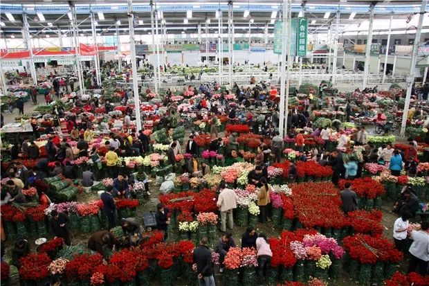 指挥部要求,昆明国际花卉拍卖交易中心有限公司和昆明斗南国际花卉