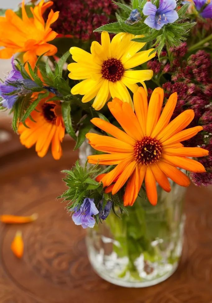 常种施恩花不图感恩果