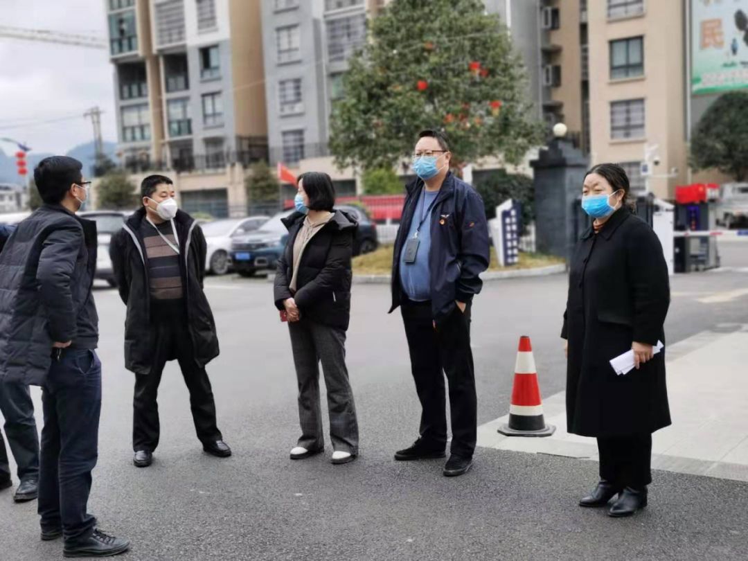 新舟镇:战疫情,备春耕,播种希望