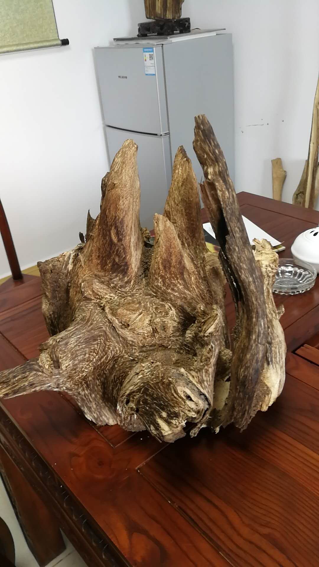 沉香结香菌种及成套输液渗透技术介绍