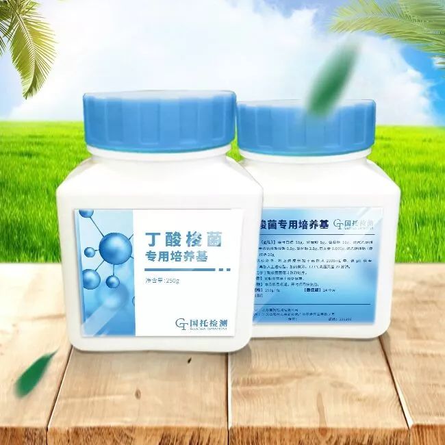 丁酸梭菌团体标准正式发布高品质产品助力无抗养殖创新发展