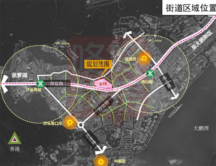 申报主体为深圳市盐田区海山街道办事处,深圳市合泰房地产开发酉揶