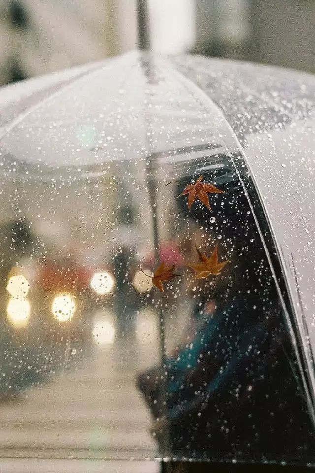 遮风挡雨唯美图片图片