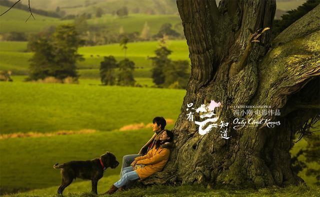 只有芸知道陪伴是一种真爱的表达