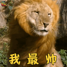 在广州生活,这16个技巧请务必知道!