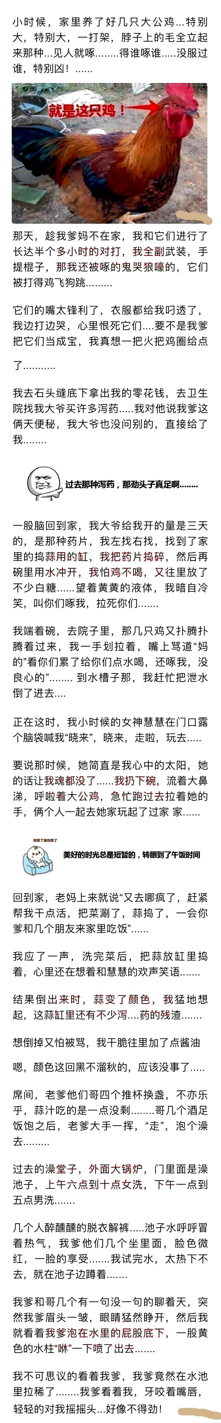 这是一个古老的段子，让我笑出了猪叫声……-BB姬
