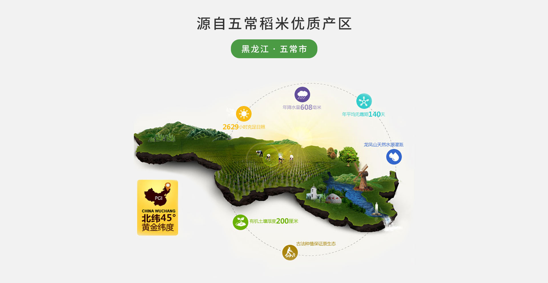 五常市委副书记,代市长于军则骄傲地说,五常大米是五常市的名片,也是