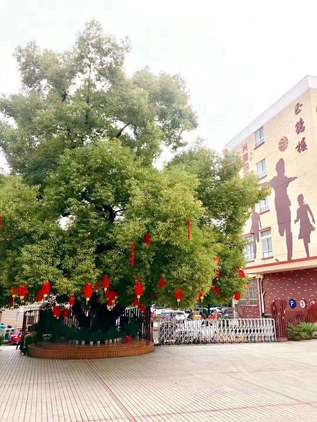 金华永康市民主小学招聘语文,数学,音乐临时教学人员若干名