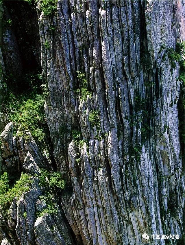 讲解！五岳的资料“典则俊雅”