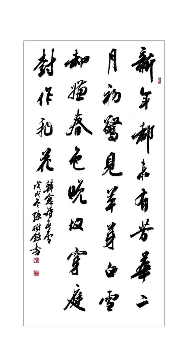 书法家张树银作品展_郸城