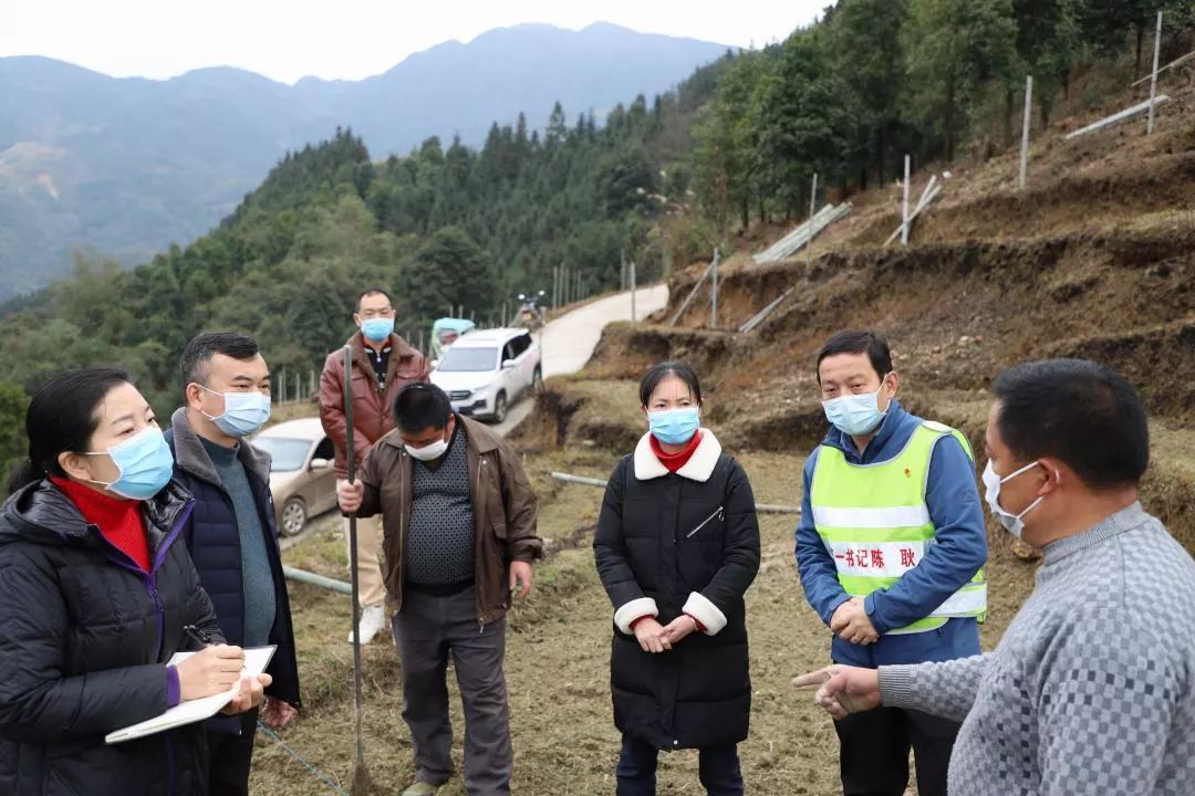 融水县防疫生产两不误苗山深处春意浓