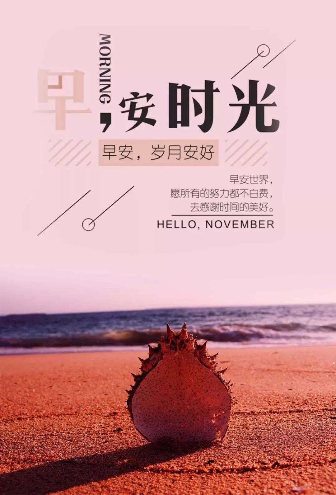 2月11日早安心语正能量温馨语录最美早上好图片带字正能量