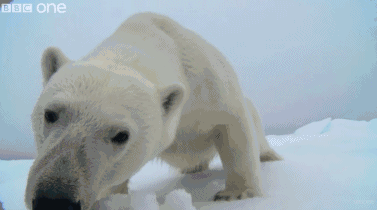 377_210gif 动态图 动图