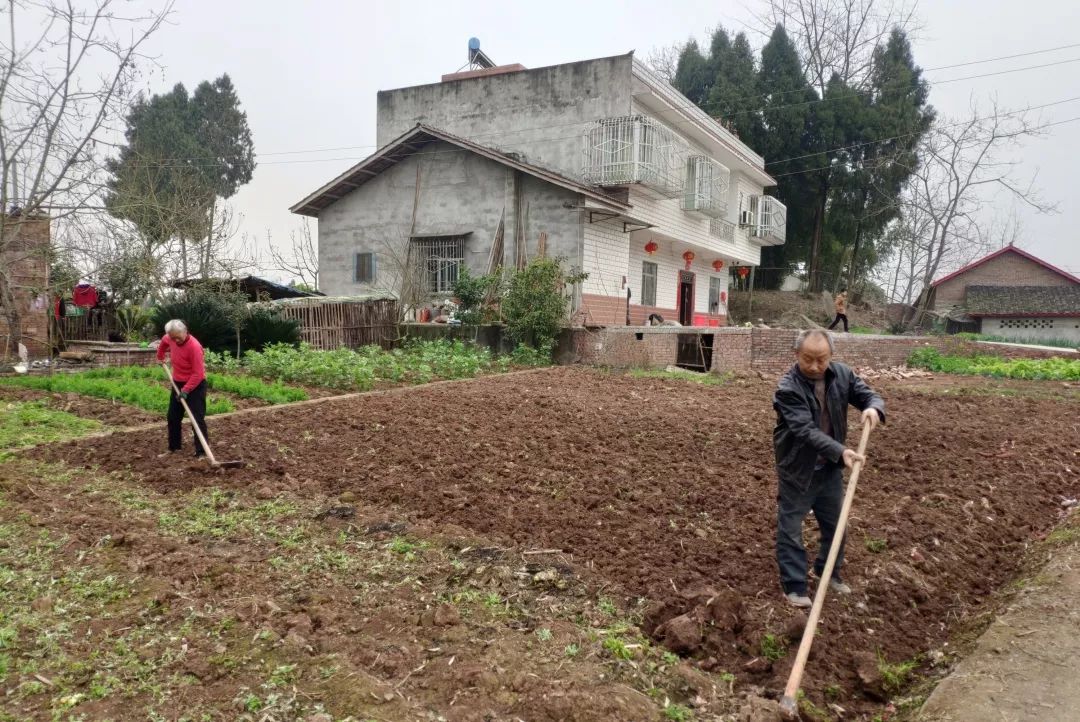 近段时间,广大农民朋友在抗击新型冠状病毒感染肺炎疫情时,不走亲访友