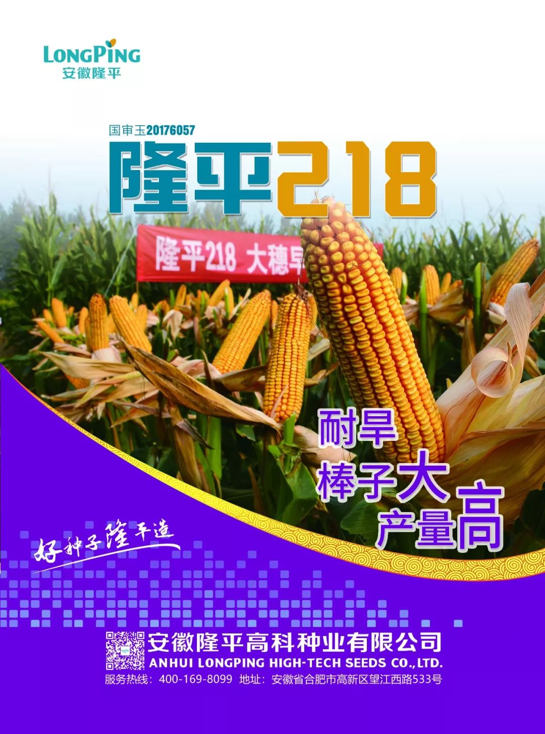 共抗疫情 隆平218为春耕保驾护航