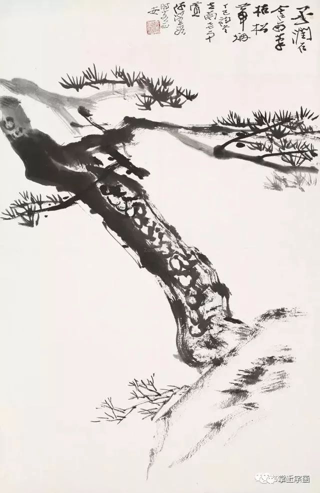 这位大师画松别有风骨