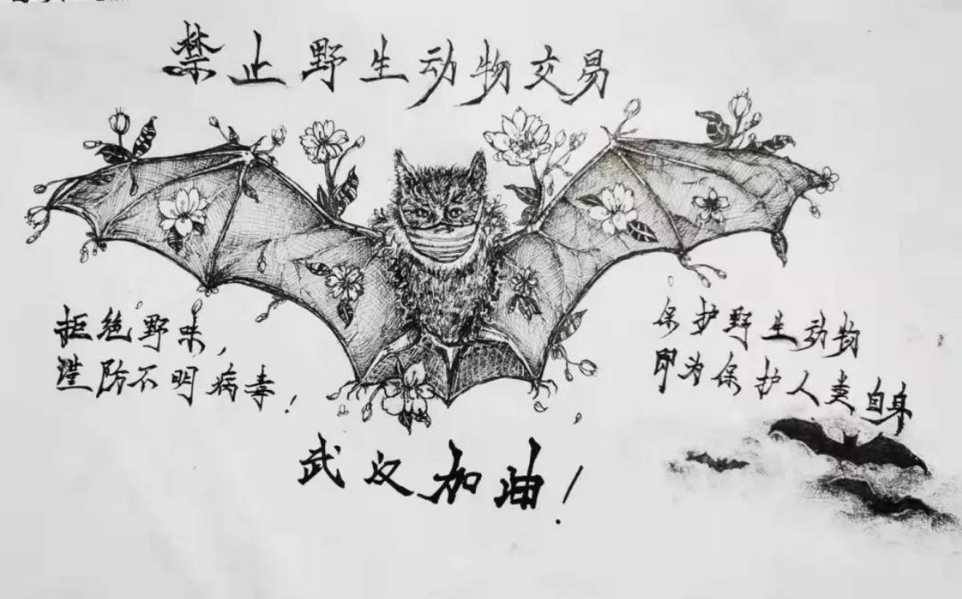 以艺战疫艺术学院优秀作品展示