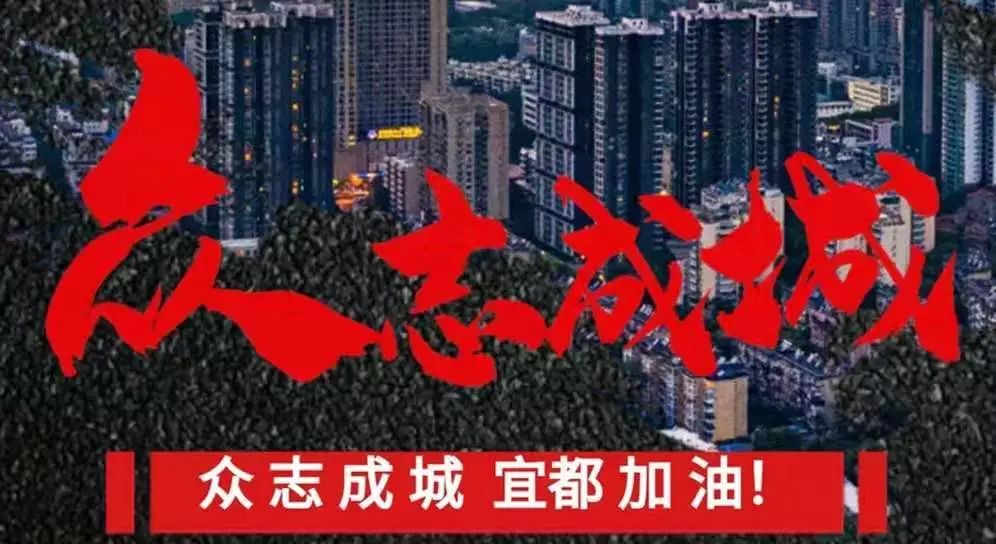 陆城众志成城共克时艰坚决打赢疫情防控阻击战73