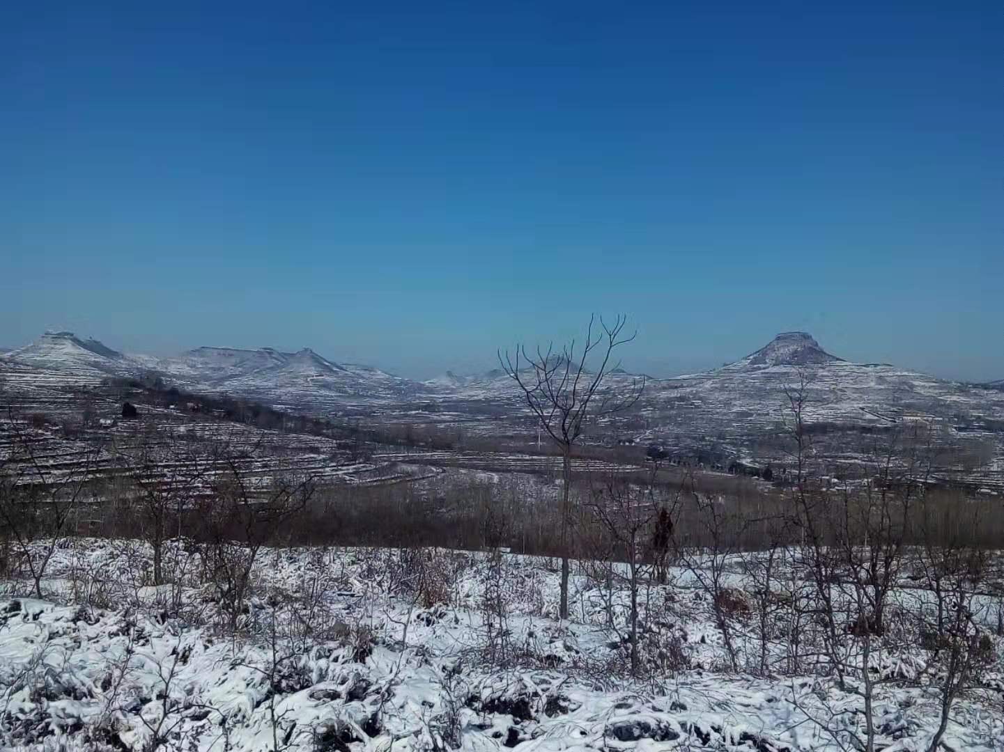 《致泉莊民樂團》(詩歌)▲文/楊治寶靜靜回想在不到一年的時間裡我們