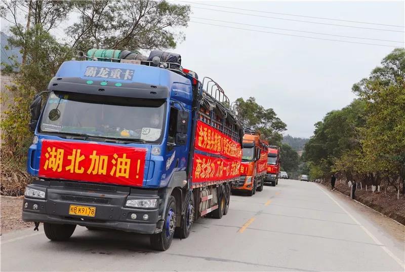 广西金秀:捐赠60吨沙糖桔驰援湖北