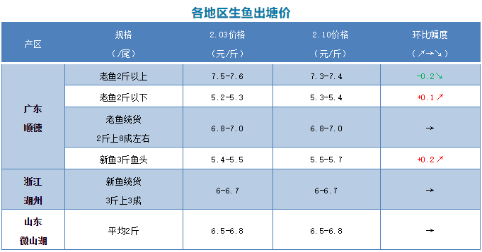 羅非魚基本持平,珠海大漲!鱸魚有價無市,黃顙魚價格暫時持穩