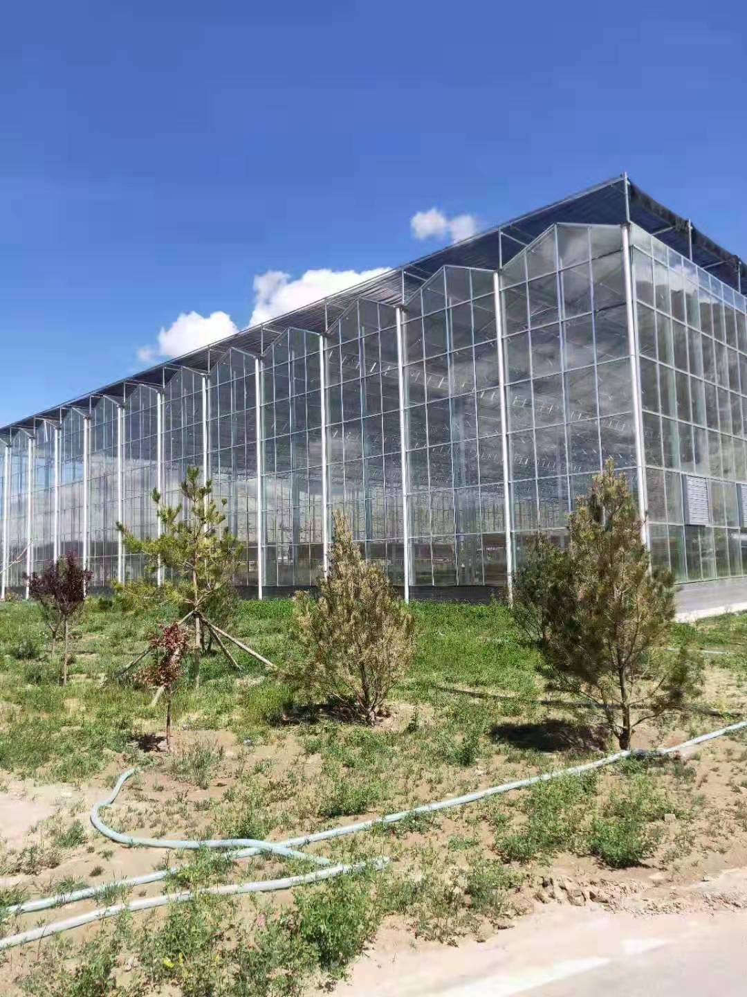 实现小型温室大棚的自建