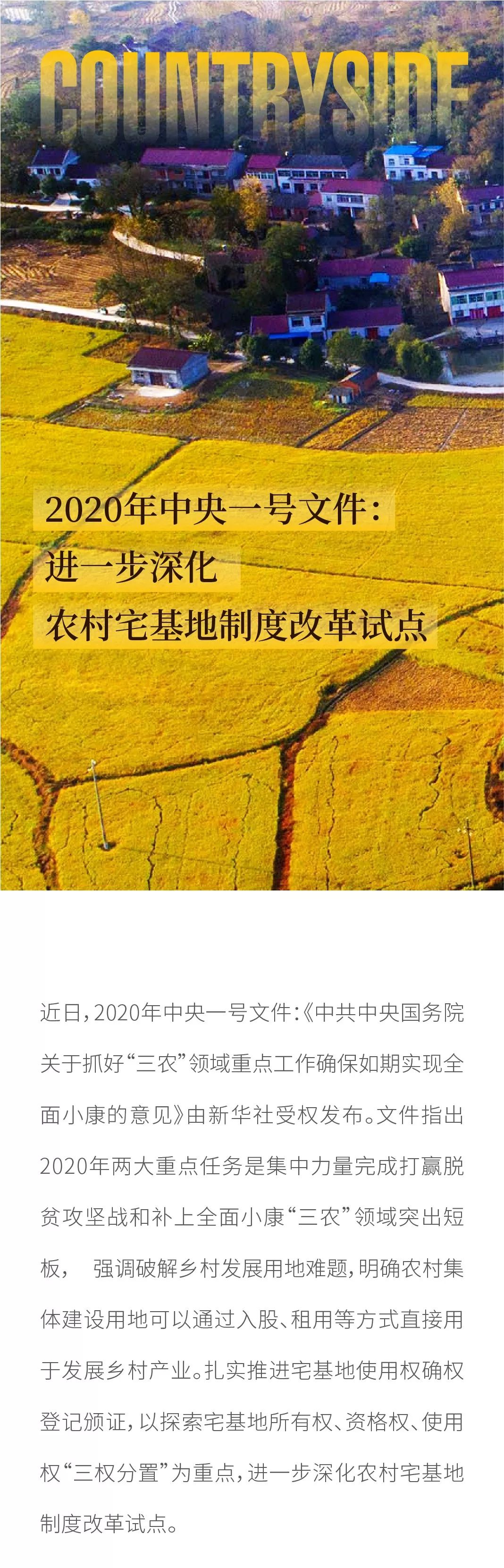 2020年中央一号文件进一步深化农村宅基地制度改革试点