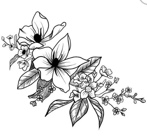 100多张花卉线描手稿素材赶快收藏