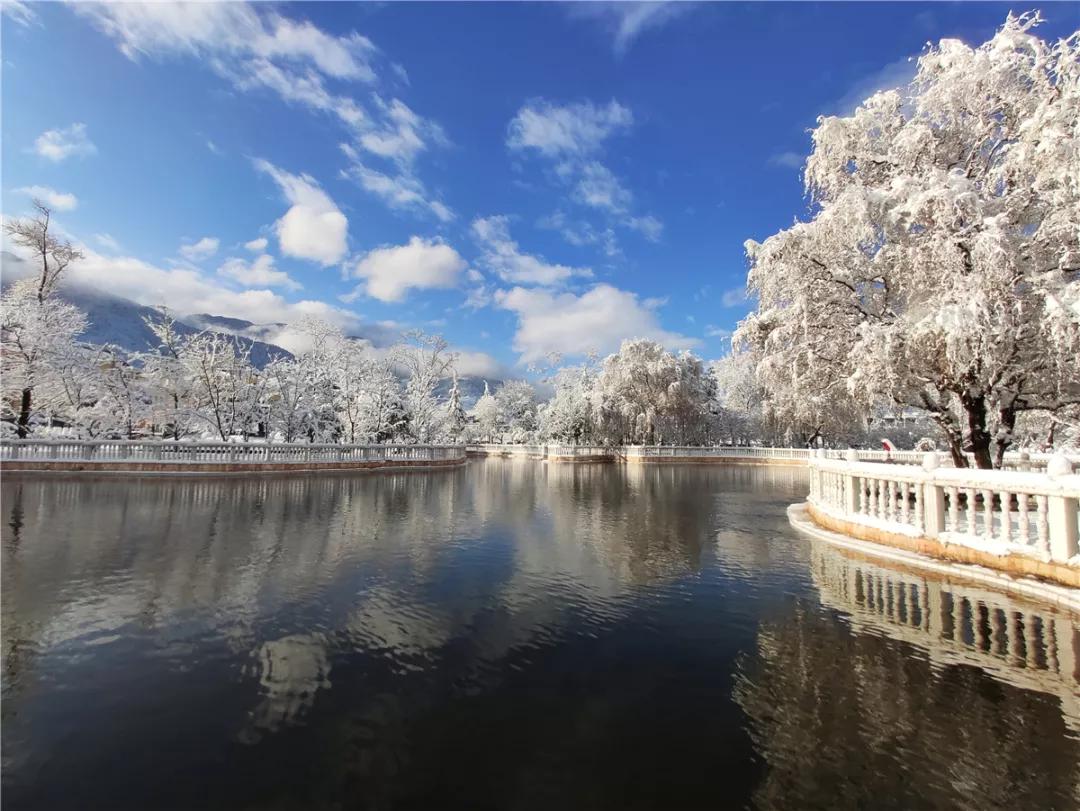 原创太漂亮啦云南曲靖会泽县茚旺高级中学静谧的雪景