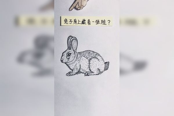 兔子身上藏着一张脸能找到的都是火眼金睛