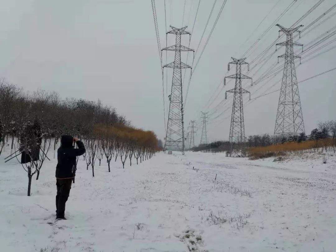 高大山大奎图片