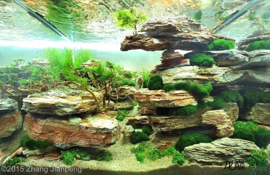 教你学水景几种常见造景石的造景分类欣赏生态鱼缸造景培训教程