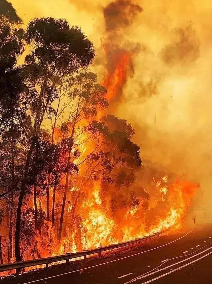 多灾多难 来自搜狐网