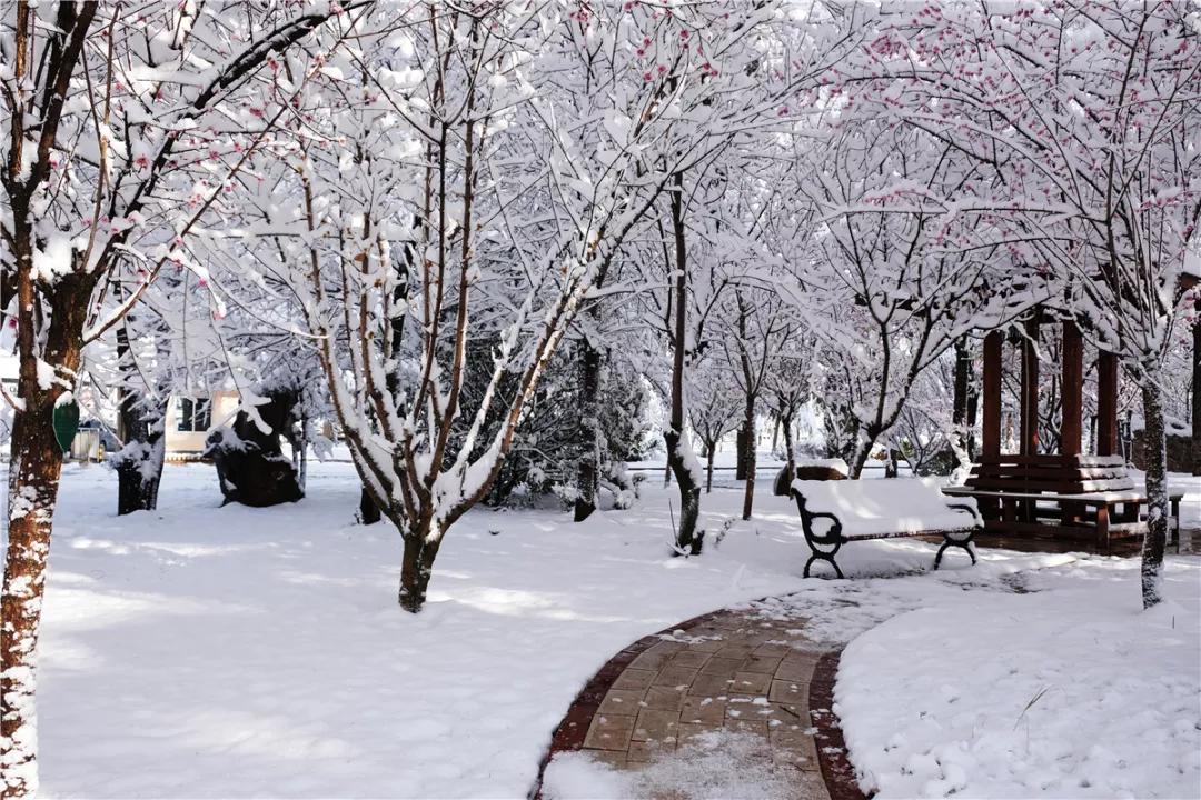 原创太漂亮啦云南曲靖会泽县茚旺高级中学静谧的雪景