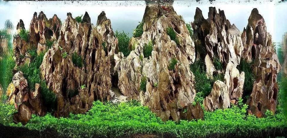 教你学水景几种常见造景石的造景分类欣赏生态鱼缸造景培训教程