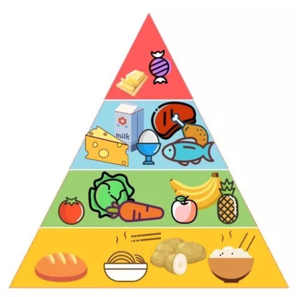 食物营养金字塔简笔画图片