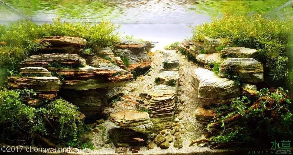 教你学水景几种常见造景石的造景分类欣赏生态鱼缸造景培训教程