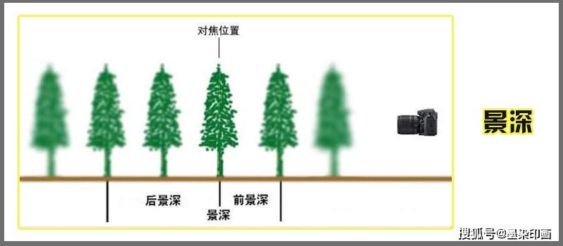 如何拍景深照片图片