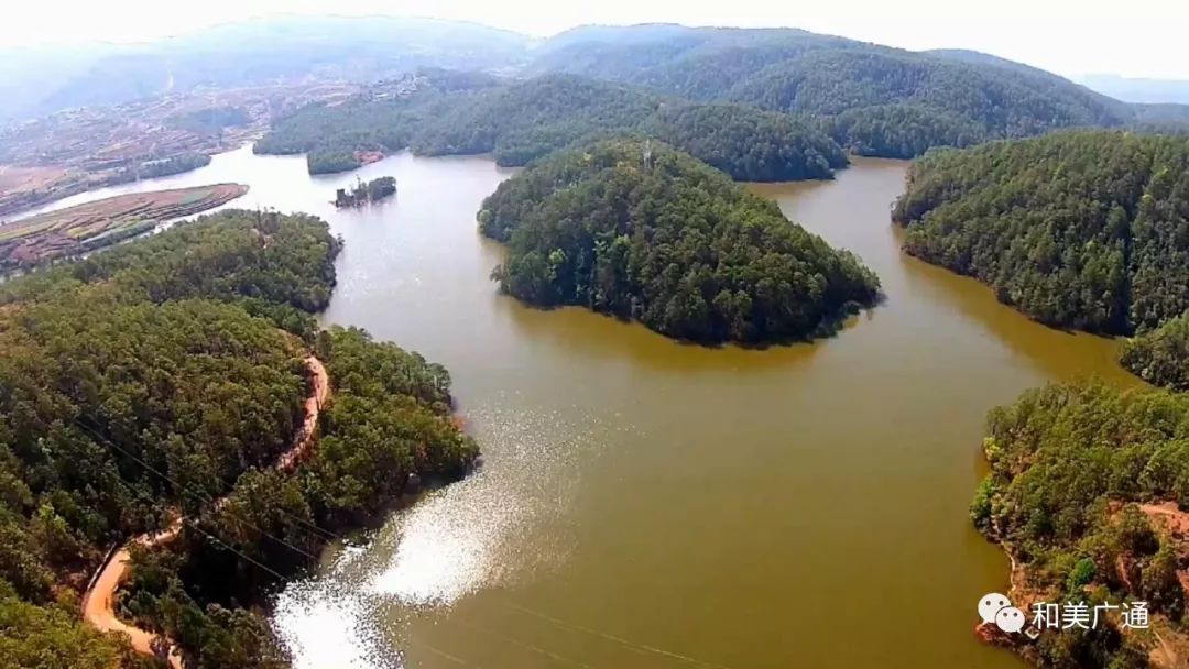 厉害了广通镇荣膺全省10个经济发达试点镇